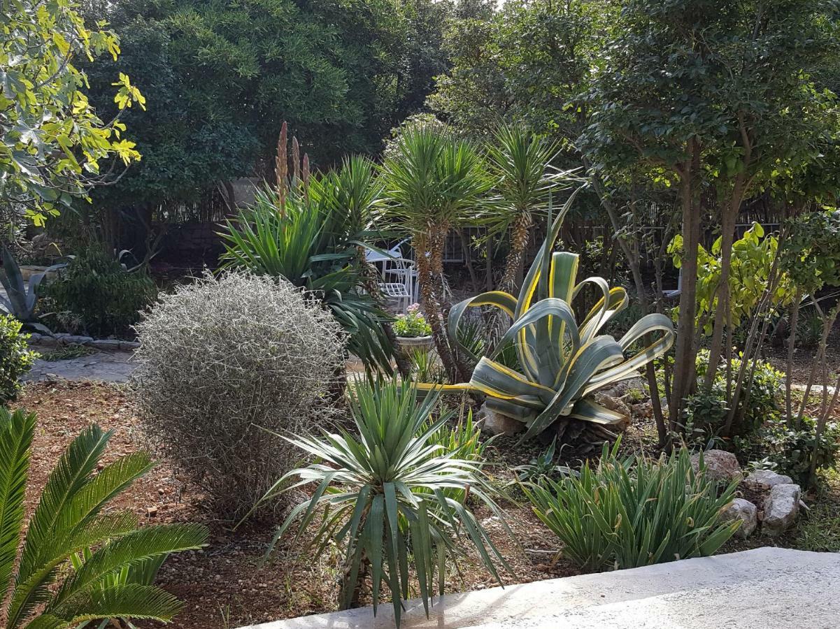 Apartment Lila Garden Bol Exterior photo